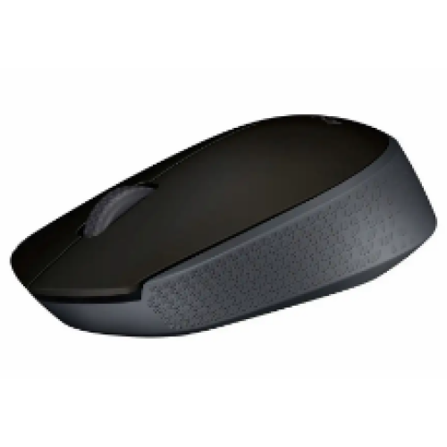 Мышь беспроводная Logitech M171 [910-004643]